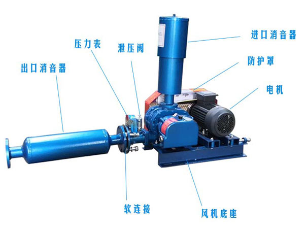 羅茨鼓風(fēng)機